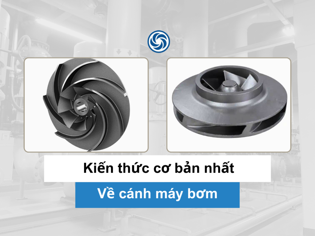 Cấu tạo cánh bơm và những thông tin cơ bản nhất