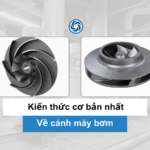 Cấu tạo cánh bơm và những thông tin cơ bản nhất