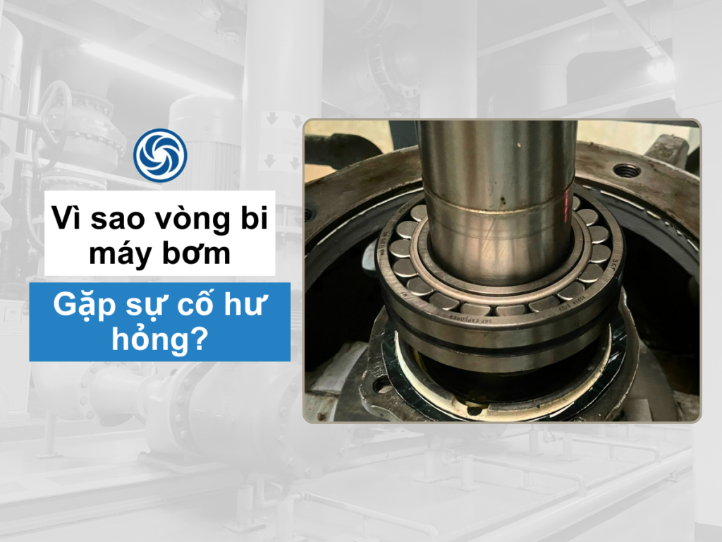 Vì sao vòng bi máy bơm công nghiệp bị hỏng