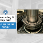 Vì sao vòng bi máy bơm công nghiệp bị hỏng?